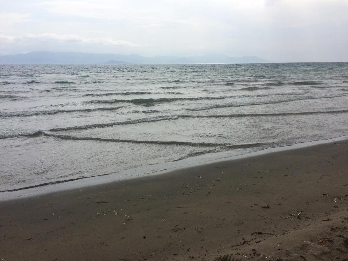 ليفكيمي Avra Beach Apartments المظهر الخارجي الصورة
